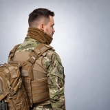 Баф GIG Winter Defense. Койот