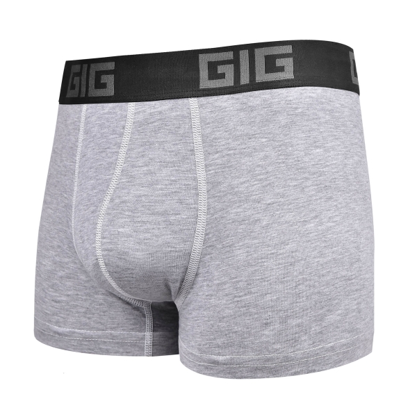 Труси Dynamic. Сірий