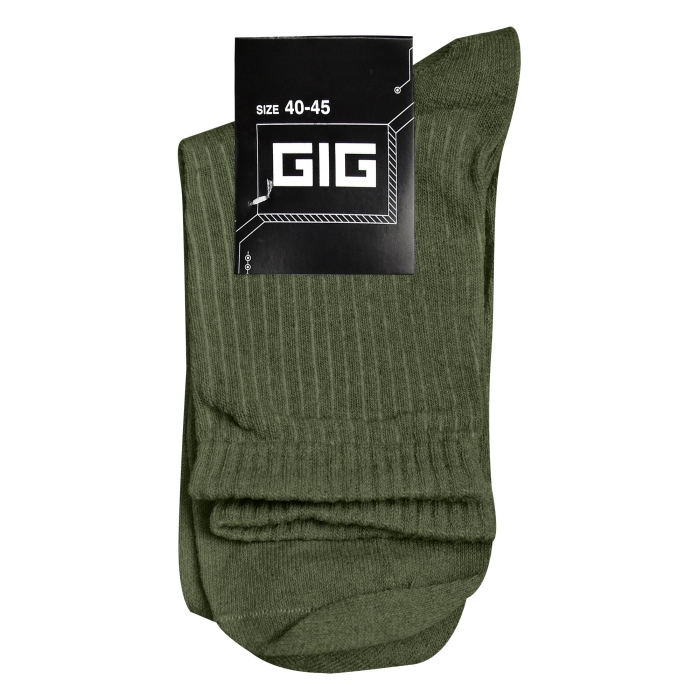 Комплект чоловічих шкарпеток GIG 10 пар. Олива