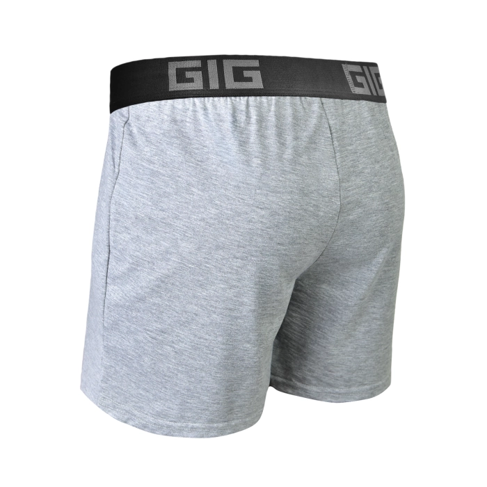 Трусы мужские семейные. Серый